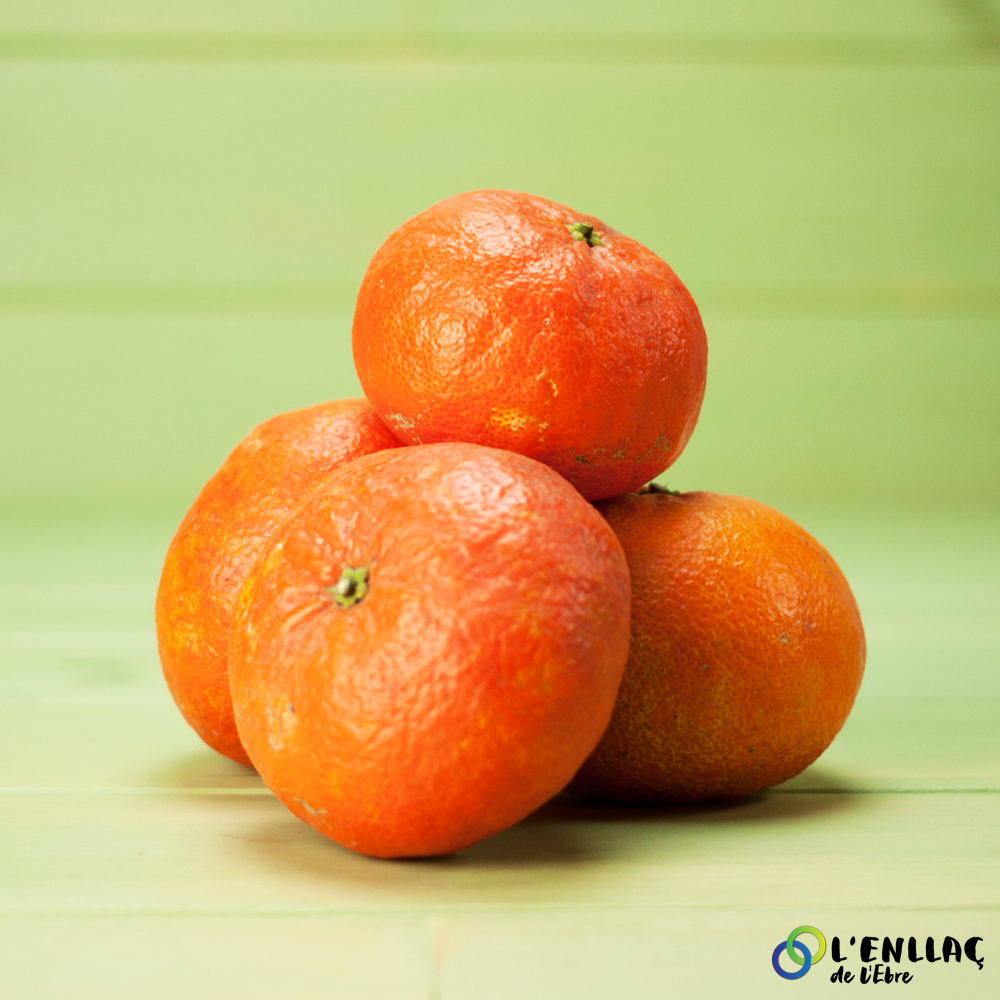 organic Orthanique tangerine Joaquin Gine Espuny 1kg