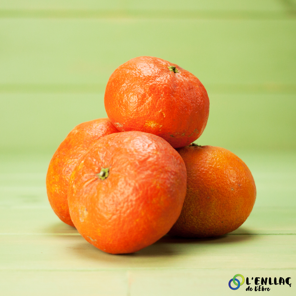 mandarine Orthanique bio Joaquin Gine Espuny 1kg