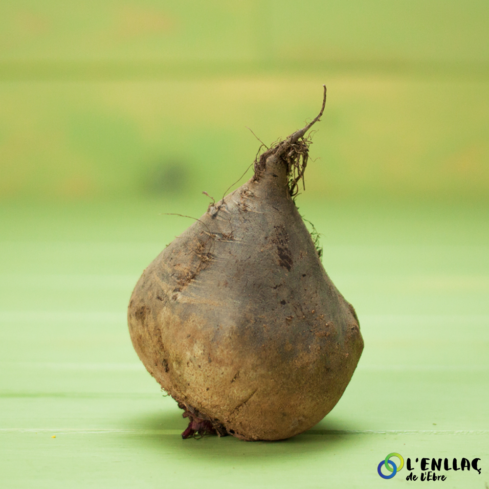 organic bunch of beets Treballs Naturals 3 unit