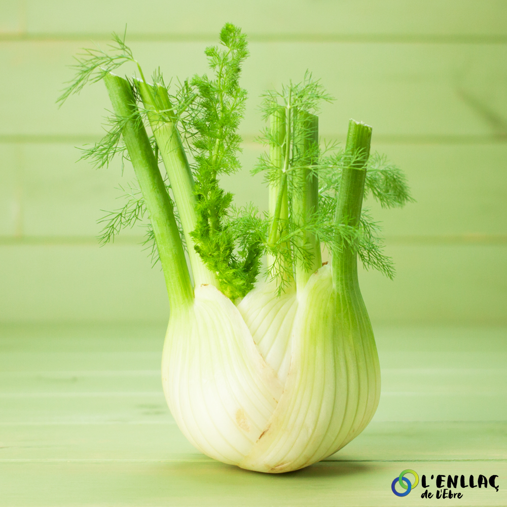 Organic fennel La Sort 1u