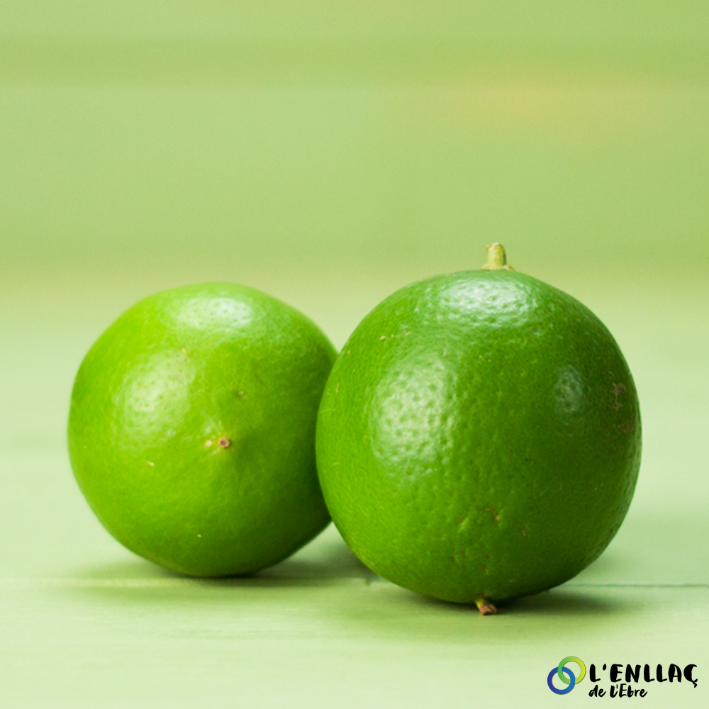 citron vert bio Joaquin Gine 1kg