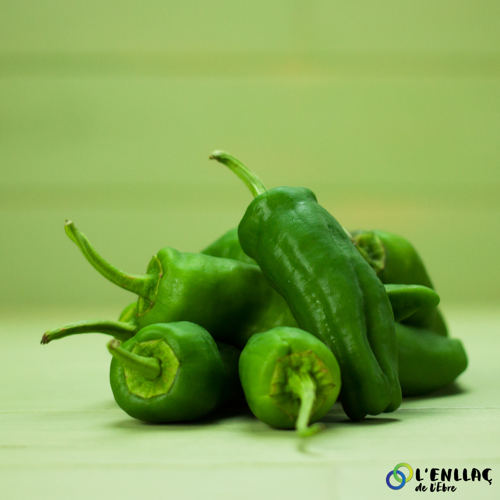 pimiento bicho verde eco Josep Mestres 1kg