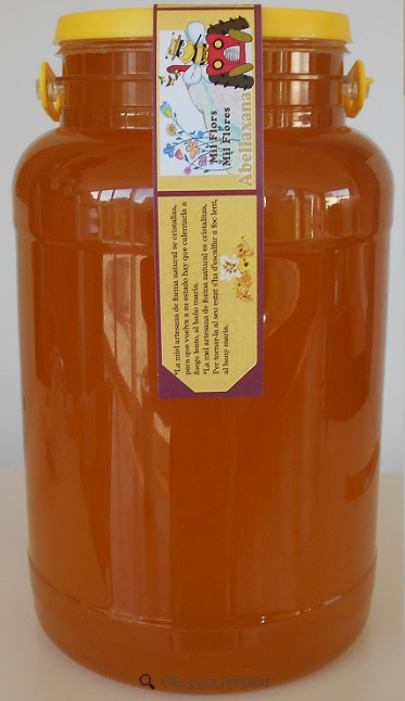 Wildflower honey PNC Abellaxana 5kg