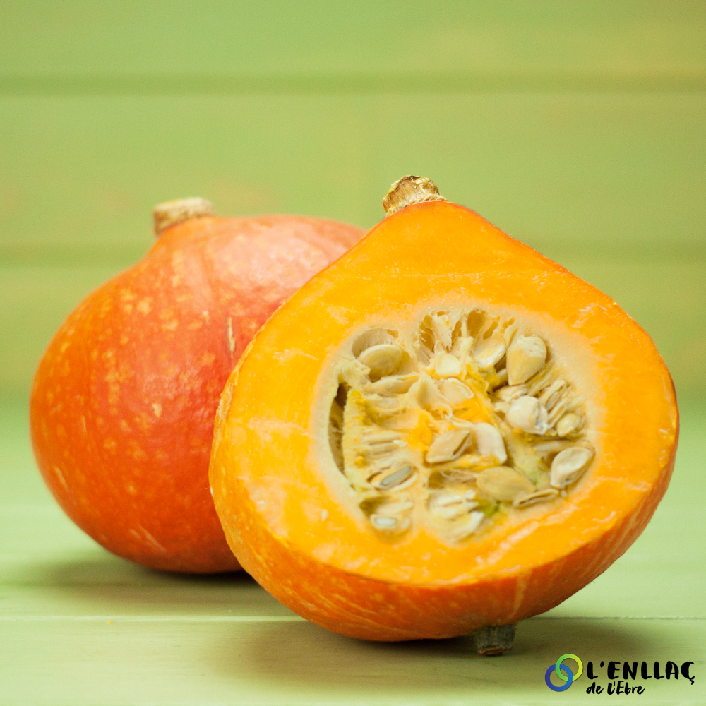 calabaza Potimarron eco Horta Carme 1kg