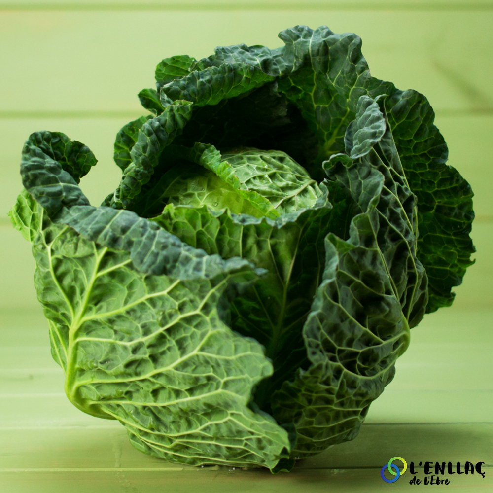 organic savoy cabbage La Sort 1unit