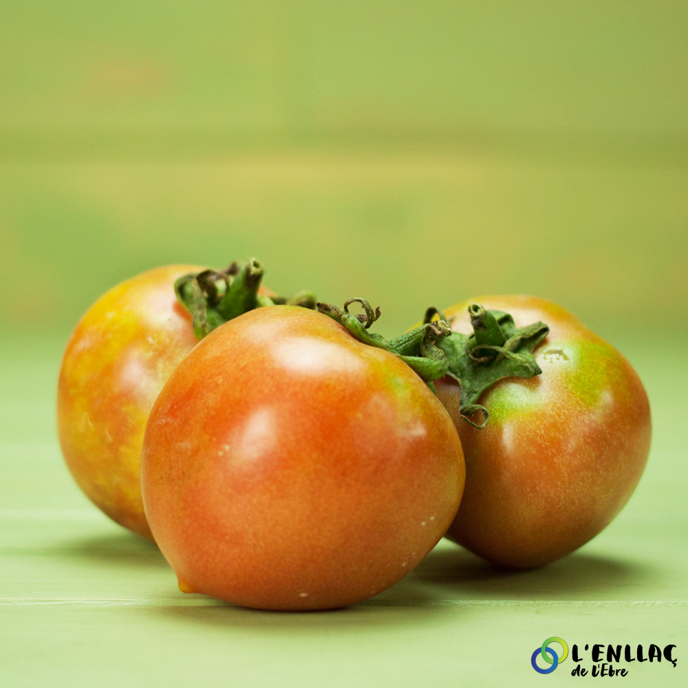 organic pink tomato Horta Carme 1kg 