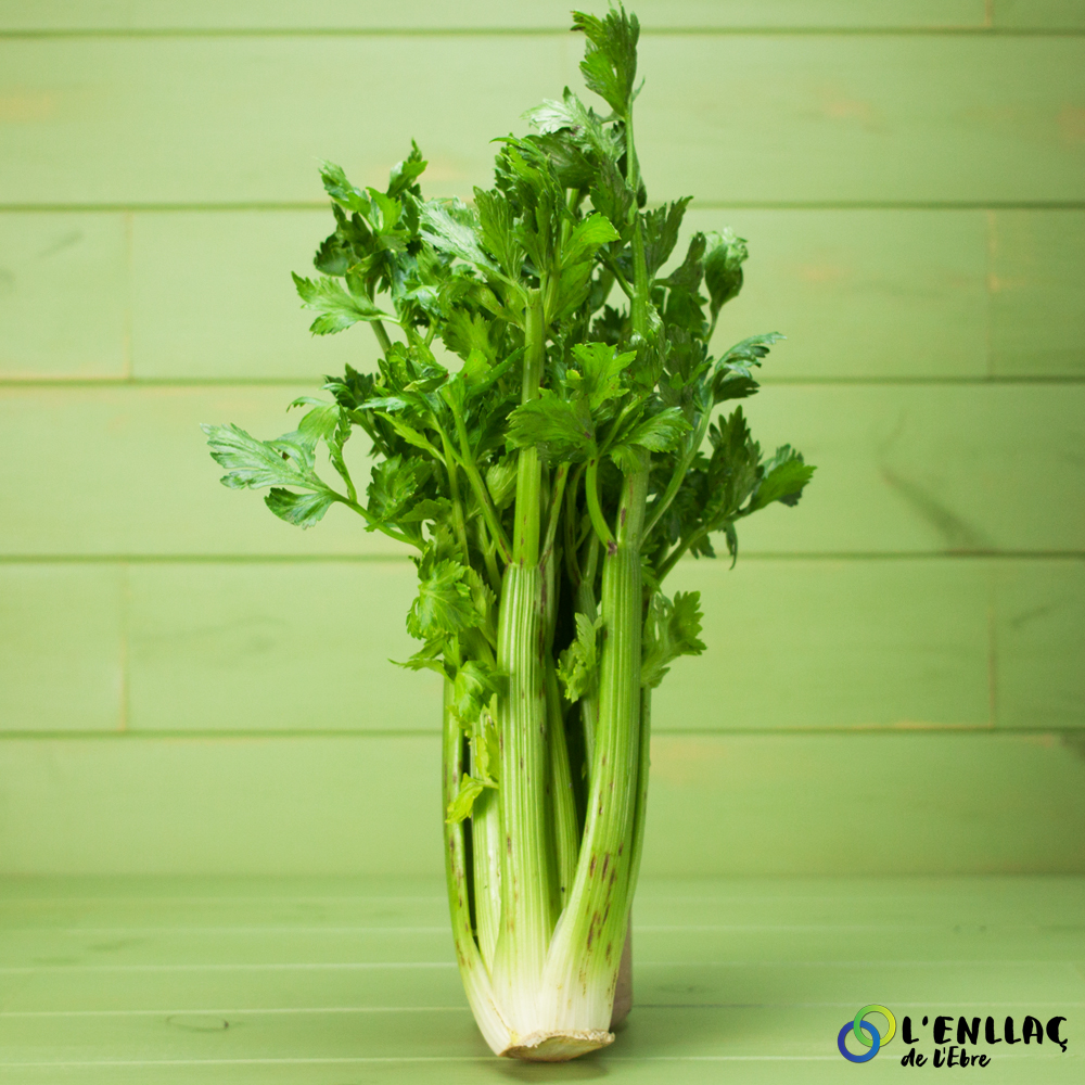 organic celery La Sort 1kg