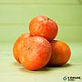 mandarina Ortanique eco Joaquin Gine Espuny 1kg