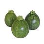 courgettes roundes bio Josep Mestres 1kg