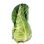 organic Picuda cabbage La Sort 1 unit