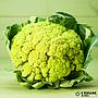 organic green cauliflower Treballs Naturals 1 unit