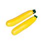 courgettes jaunes bio josep mestres 1kg