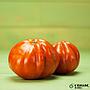 tomate Raff Marmande bio Horta Carme 1kg