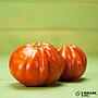 tomaquet Raff Marmande eco Horta Carme 1kg