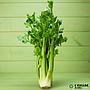 organic celery La Sort 1kg